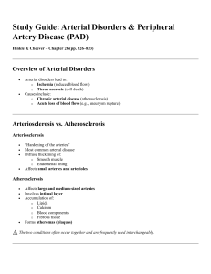 Arterial Disorders & PAD Study Guide
