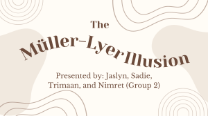 The M&uuml;ller-Lyer Illusion: How Visual Perception Tricks the Brain