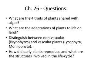 Chapter 26 Questions: Plant Evolution & Adaptations