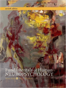 Fundamentals of Human Neuropsychology Test Bank
