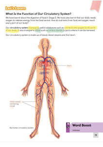 What Is the Function of Our Circulatory System?