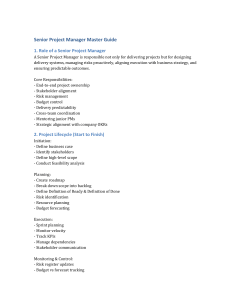 Senior Project Manager Master Guide