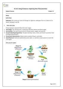Life Cycles: Plant, Animal, Butterfly, Frog, Mosquito - Grade 6 Notes