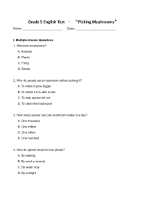 Grade 5 English Test: Picking Mushrooms
