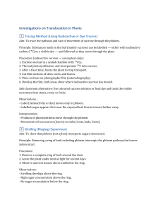 Investigations on Translocation in Plants: Methods & Experiments