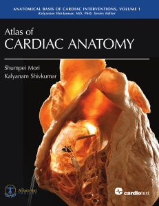 Atlas of Cardiac Anatomy: Anatomical Basis of Cardiac Interventions, Vol 1