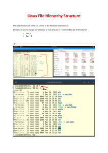 Linux File Hierarchy Structure Explained