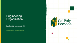 Engineering Organization: Product Structure and CM