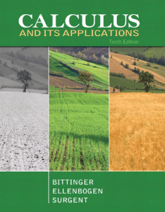 Calculus and Its Applications 10th Edition Textbook