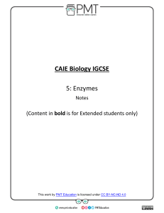 CAIE Biology IGCSE Enzymes Notes