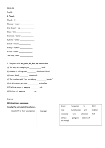 Elementary School Workbook: English, Science, Geography