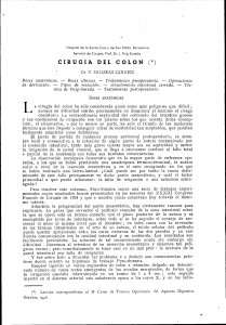 Cirug&iacute;a del Colon: Bases Anat&oacute;micas y Cl&iacute;nicas