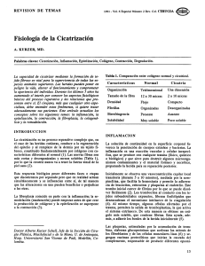 Fisiolog&iacute;a de la Cicatrizaci&oacute;n: Procesos de Cicatrizaci&oacute;n