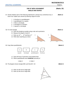 Year 6 Math Assignment: Angles and Shapes