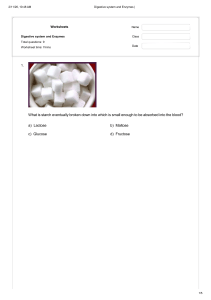 Digestive System and Enzymes Worksheet