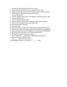 Biology Quiz: Genetics & Molecular Biology Questions