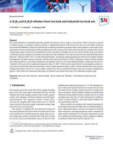 Synthesis of &alpha;‑Si₃N₄ and Si₂N₂O Whiskers from Rice Husk and Ash
