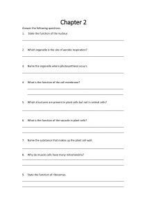 Chapter 2 Cell Biology Questions Worksheet