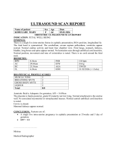 Obstetric Ultrasound Scan Report: Fetal Well-Being