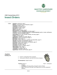 CMG GardenNotes #313: Insect Orders Guide
