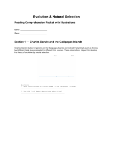 Evolution & Natural Selection Reading Comprehension Packet