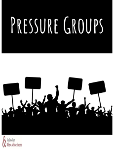 Pressure Groups: Study Guide & Analysis