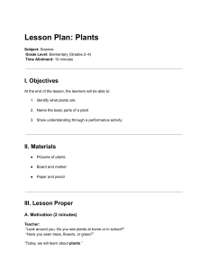 Elementary Science Lesson Plan: Plants Grades 2-4
