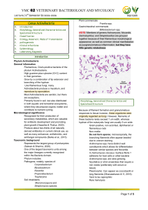 VMC 62: Actinobacteria in Veterinary Bacteriology