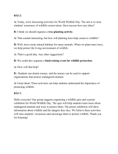 World Wildlife Day Activities: Tree Planting & Quiz Ideas