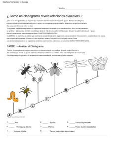 &iquest;C&oacute;mo un cladograma revela relaciones evolutivas? Hoja de trabajo