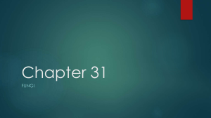 Chapter 31: Fungi - Biology Textbook