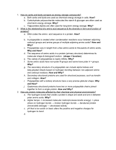 Biochemistry Study Guide: Carbs, Lipids, Proteins