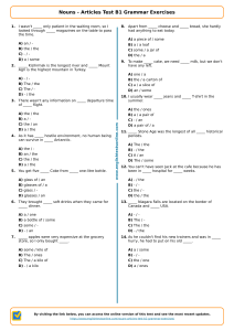 Nouns & Articles B1 Grammar Test