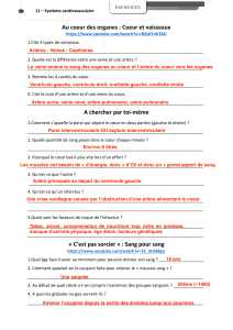 Exercices sur le syst&egrave;me cardiovasculaire