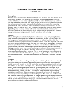 Reflection on Food Choice Factors