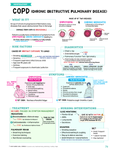 COPD Infographic: Emphysema & Chronic Bronchitis