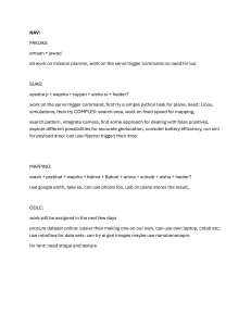 Drone Mission Project Plan: Tasks & Team Assignments