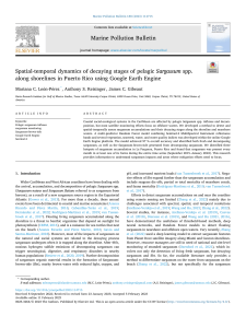 Sargassum Dynamics in Puerto Rico Using Google Earth Engine