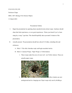 Wasps Presentation Outline - BIOL 1407 Biology II