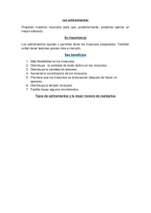 Beneficios de los estiramientos y su importancia