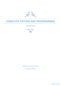 Computer Systems and Programming Lab Report 3
