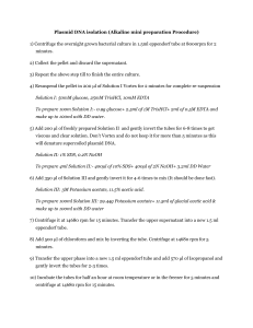 Plasmid DNA Isolation Protocol