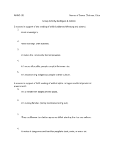 AUIND 101 Group Activity: Cottagers & Indians