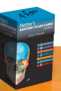 Netter's Anatomy Flash Cards 3rd Edition | Human Anatomy Study