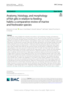 Fish Gill Anatomy and Feeding Habits: Comparative Review