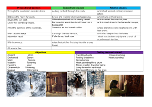 Grammar Elements: Prepositional Openers, Clauses, Adjectives