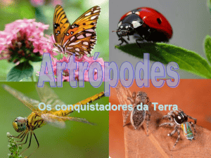 Artr&oacute;podes: Os Conquistadores da Terra