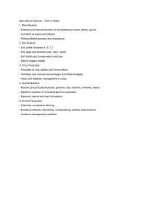 Agricultural Sciences Term 3 Notes: Plant, Soil, Crop, Animal Topics