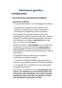 Patrim&oacute;nio Gen&eacute;tico: Hereditariedade e Leis de Mendel