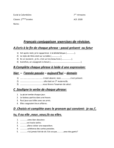Fran&ccedil;ais Conjugaison : Exercices de R&eacute;vision